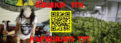 сатива Будённовск