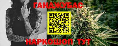 сатива Будённовск