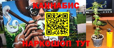 сатива Будённовск